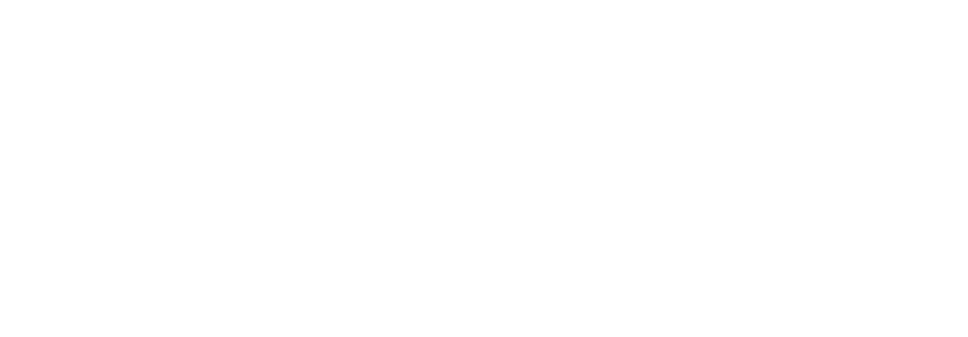 Momentum Co. logo